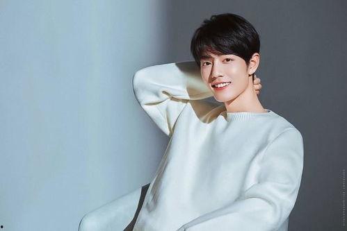 圈内爆料肖战杨幂视频,幕后真相引热议